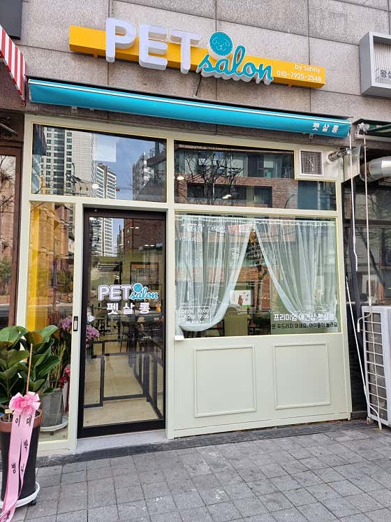 펫살롱