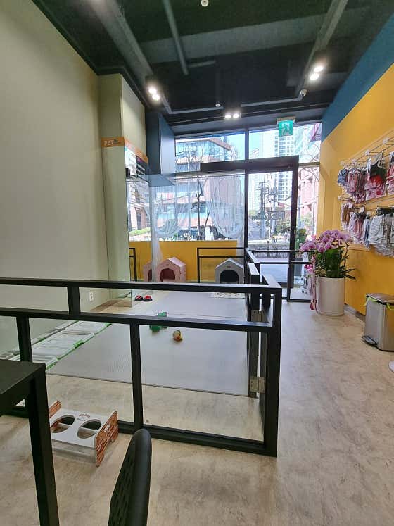 펫살롱 · 네이버 지도·플레이스 2