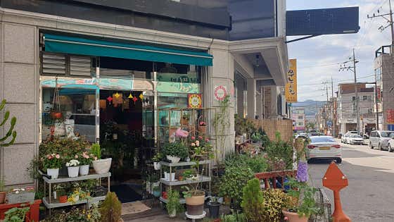 마담 플라워 · 네이버 지도·플레이스 2