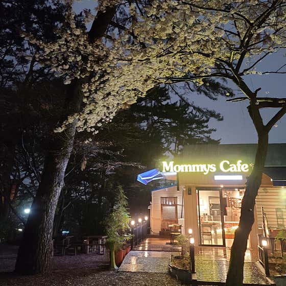마미스카페