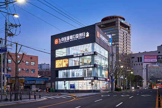 24시노아동물메디컬센터