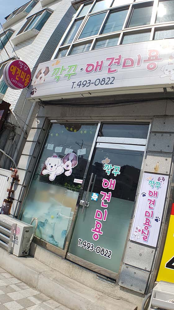 깍꾸애견미용실 · 네이버 지도·플레이스 2