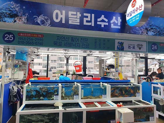 어달리수산 수암회수산시장