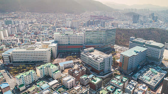 대구가톨릭대학교병원 사진