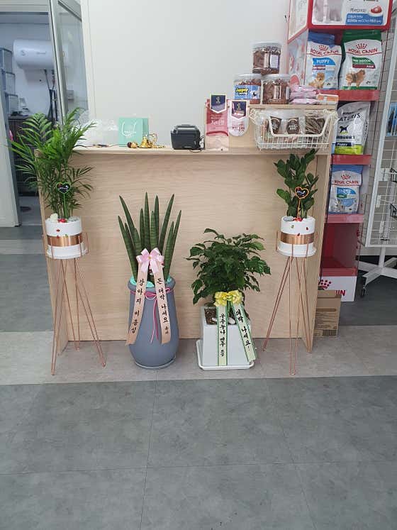 강아지미용실 · 네이버 지도·플레이스 8