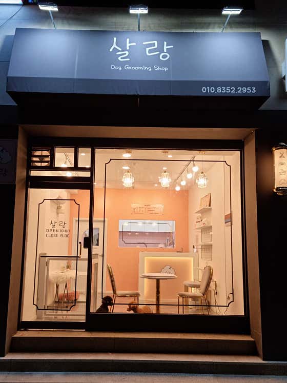 살랑 · 네이버 지도·플레이스 3