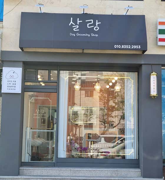 살랑