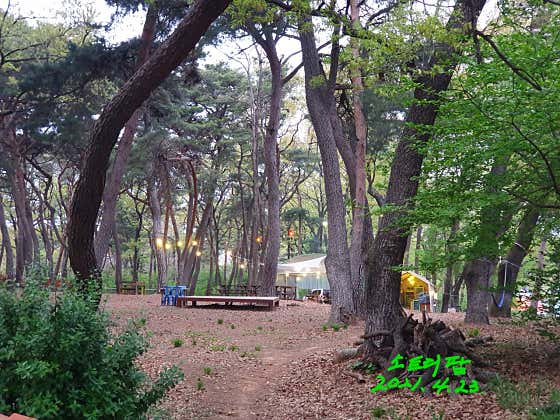 소트리팜바베큐장