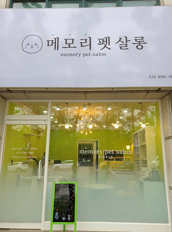 메모리펫살롱