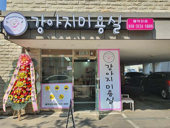 강아지미용실 대표이미지