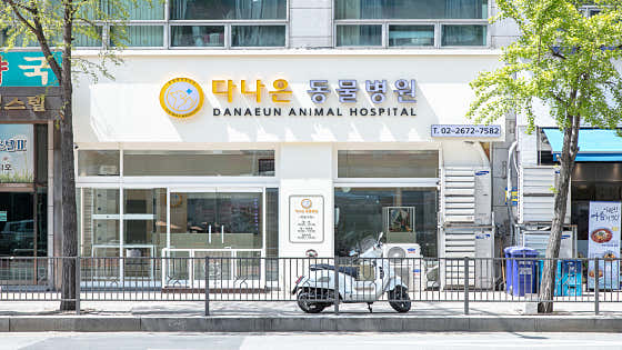 다나은동물병원 대표이미지