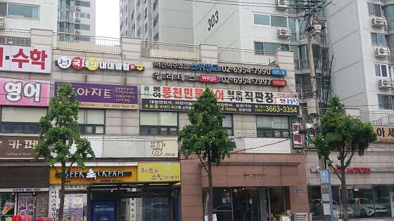제이원 국제식 대대클럽