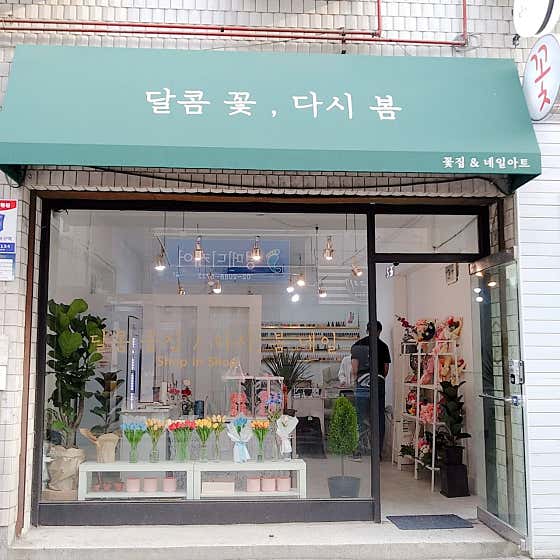 네이버 플레이스 달콤꽃집 : 네이버