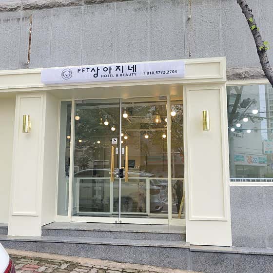 상아지네 대표이미지