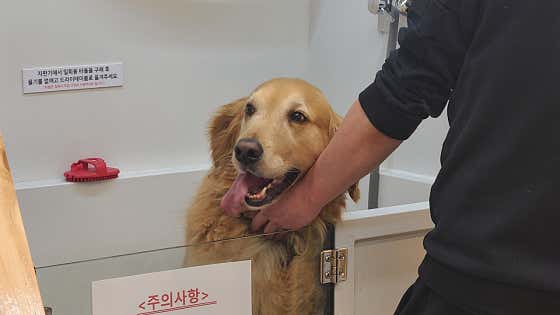 씻고가개 운정점