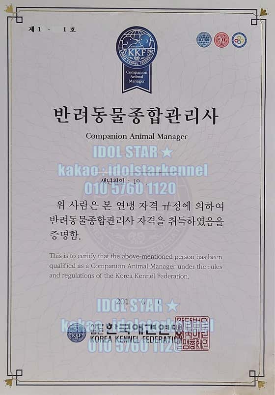 IDOL STAR · 네이버 지도·플레이스 4
