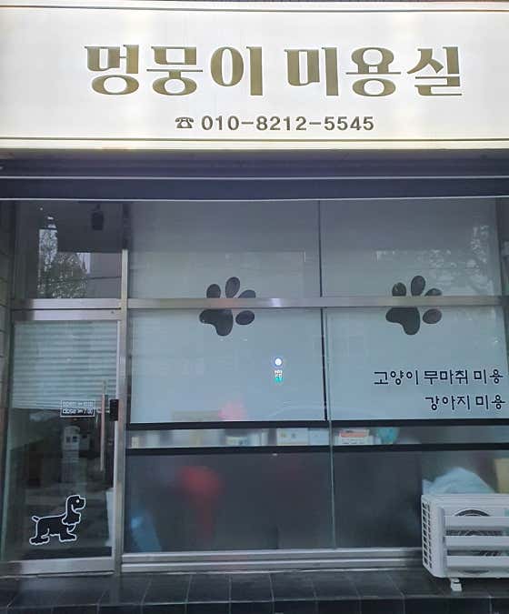 멍뭉이미용실