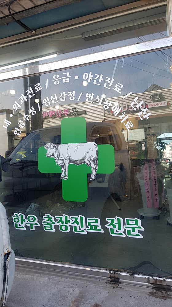 고고동물병원