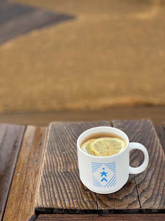 레몬 진저 티(hot/iced) 메뉴 사진(네이버)