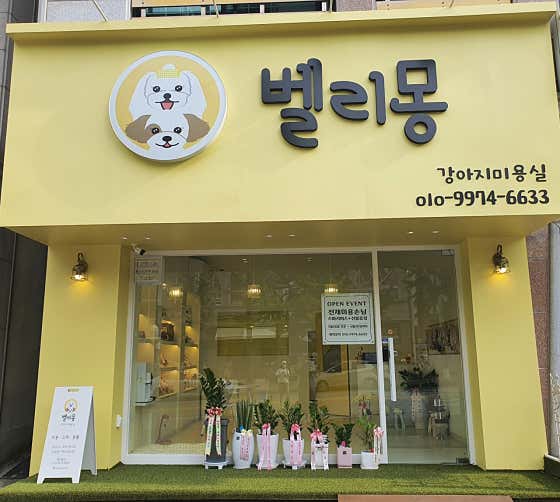 벨리몽