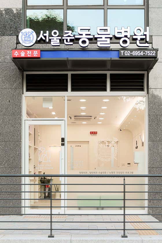 서울준동물병원 대표이미지