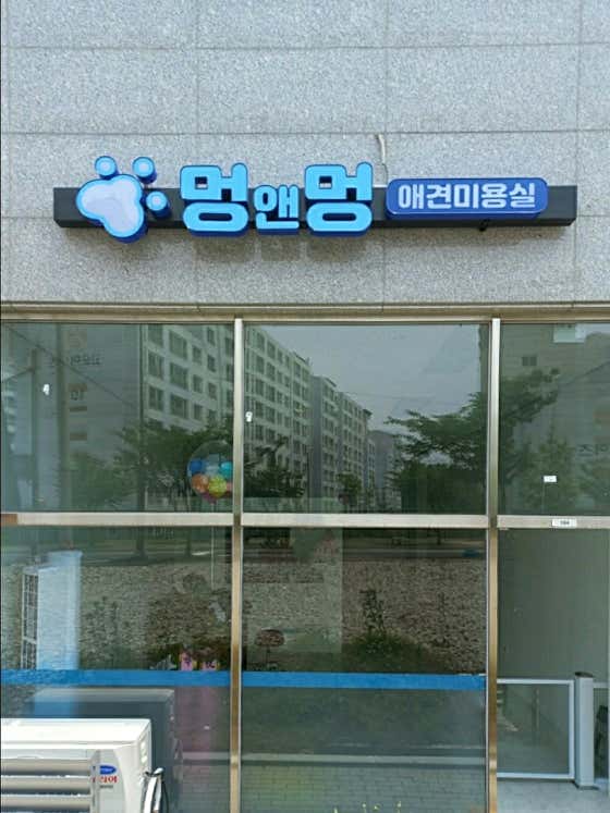 멍앤멍애견미용실 대표이미지