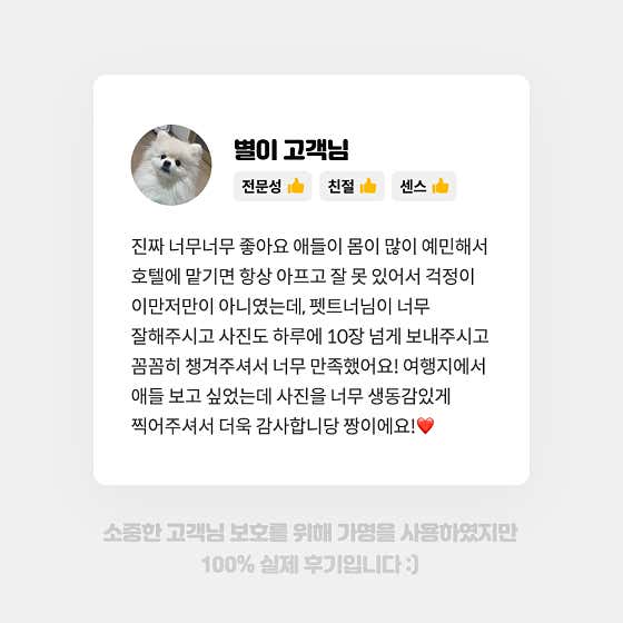 펫트너 · 네이버 지도·플레이스 8