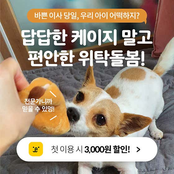 펫트너 · 네이버 지도·플레이스 10