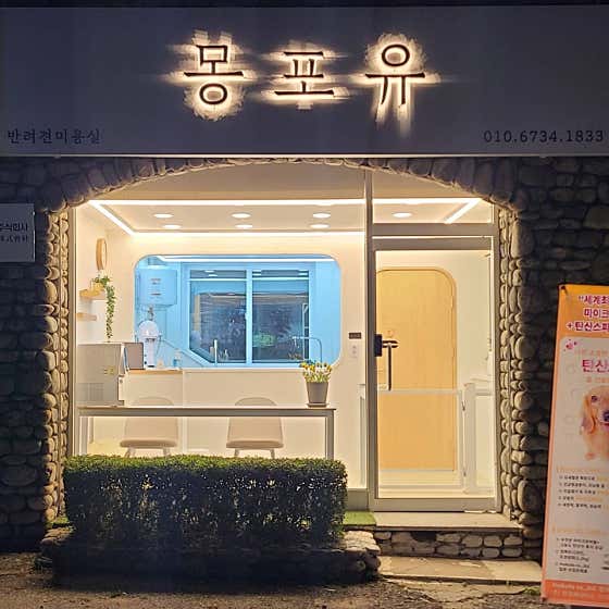 몽포유 애견미용실 대표이미지
