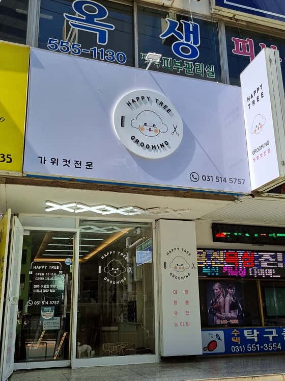 해피트리 대표이미지