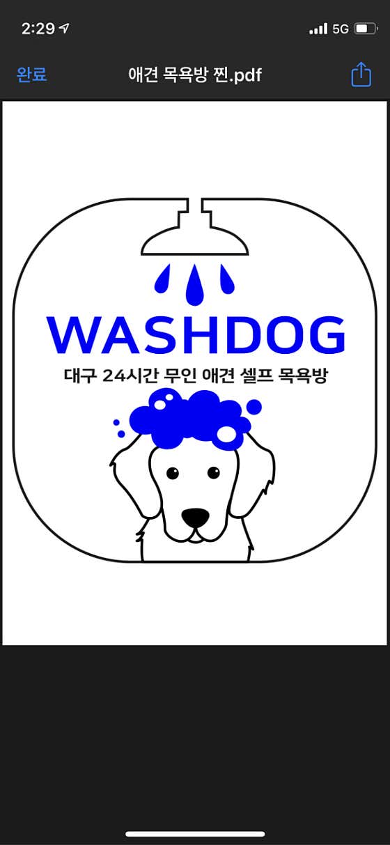 워시독