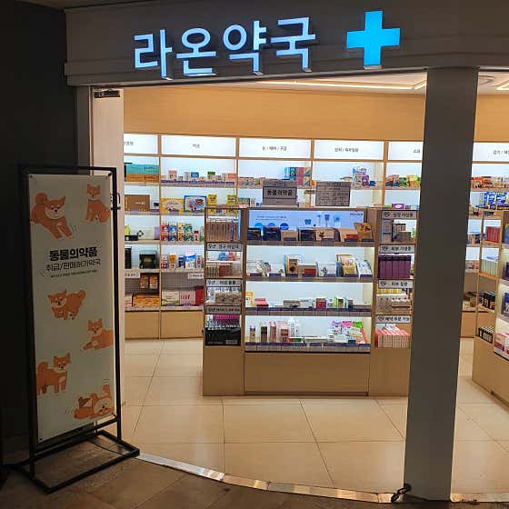 라온약국