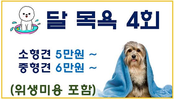 테리애견샵 · 네이버 지도·플레이스 3