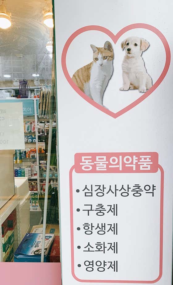 초롱약국 · 네이버 지도·플레이스 2