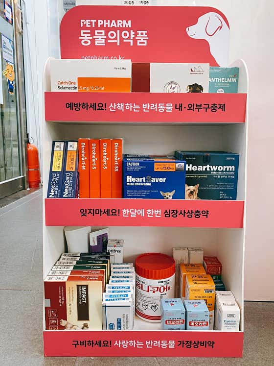 초롱약국 · 네이버 지도·플레이스 3