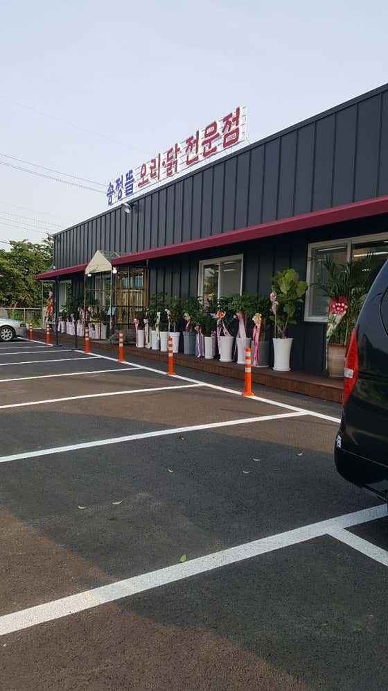 송정뜰