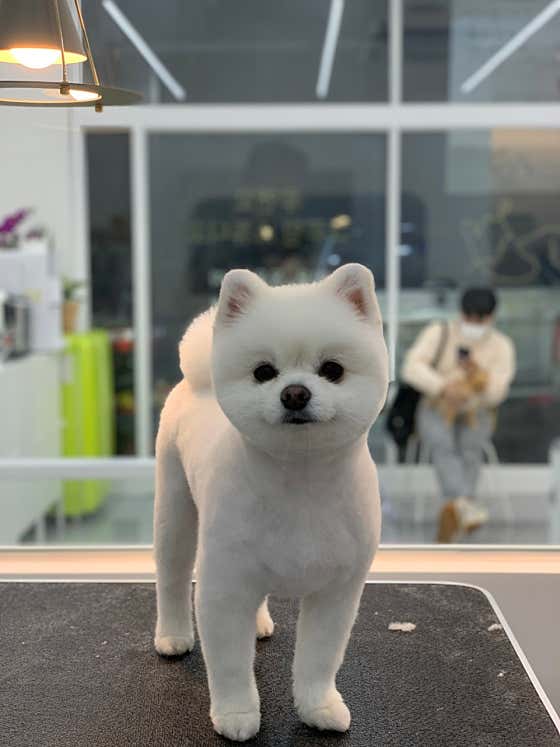 루앤오 · 네이버 지도·플레이스 7