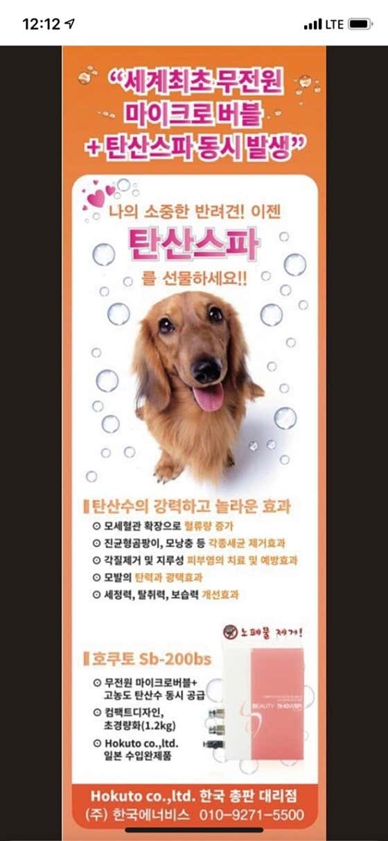 슈슈봉봉애견미용 · 네이버 지도·플레이스 4