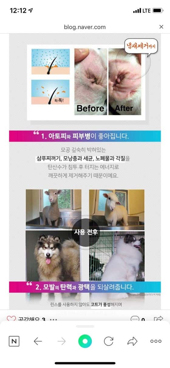 슈슈봉봉애견미용 · 네이버 지도·플레이스 5
