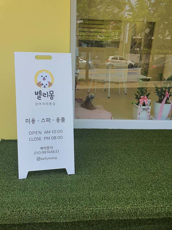 벨리몽 · 네이버 지도·플레이스 3