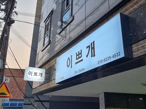 이쁘개 · 네이버 지도·플레이스 2