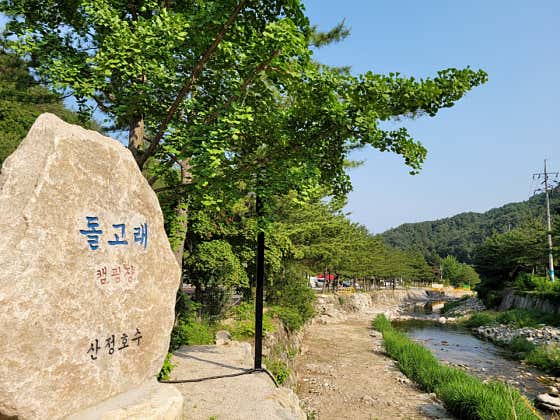 산정호수돌고래캠핑장 · 네이버 지도·플레이스 6