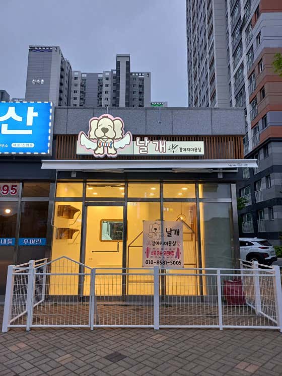 날개 강아지미용실 · 네이버 지도·플레이스 8
