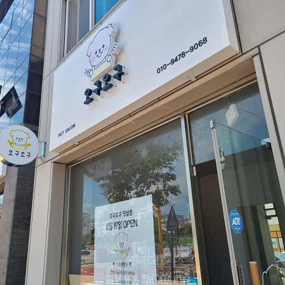 오구오구펫살롱