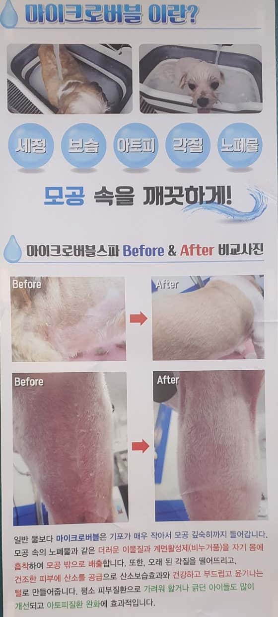 언니네애견미용실 · 네이버 지도·플레이스 9