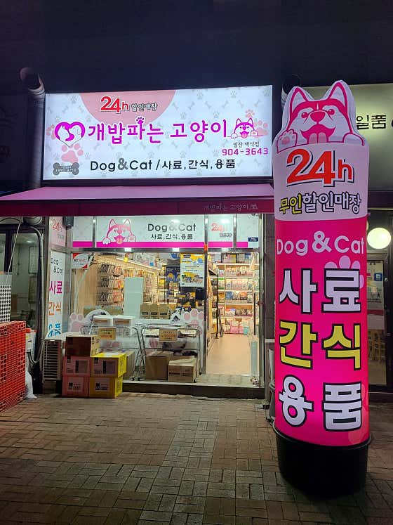 개밥파는고양이 일산백석점