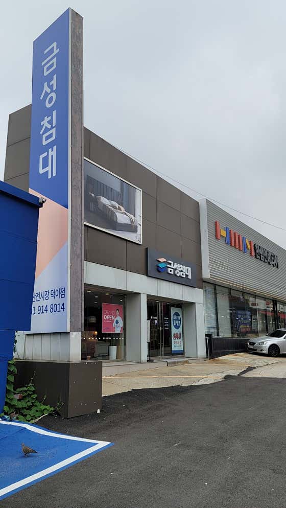 네이버 플레이스 금성침대 일산덕이점 : 네이버