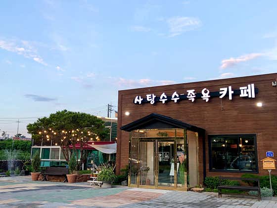 사탕수수 족욕카페