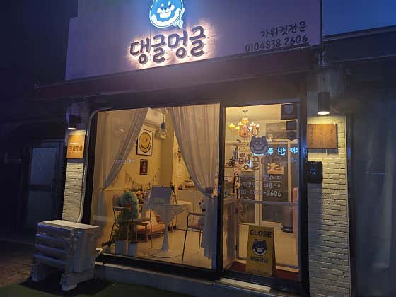 댕글멍글 애견미용실 대표이미지