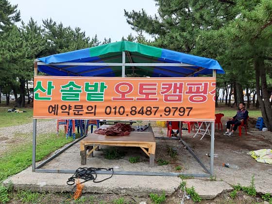 낙산솔밭오토캠핑장 대표이미지